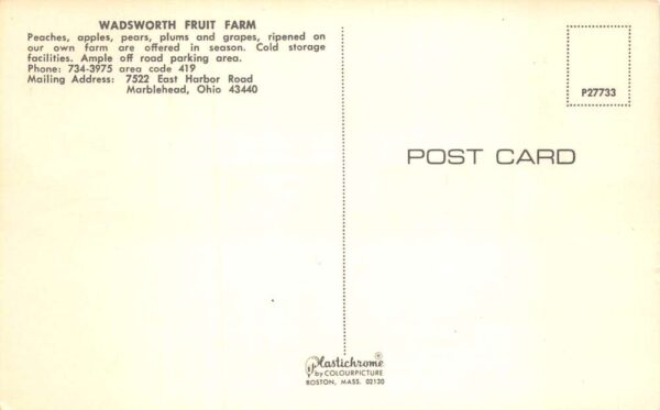 Marblehead Ohio Wadsworth Fruit Farm Vintage Postcard AA94424 - Image 2