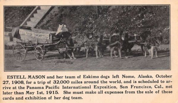 Nome Alaska Eskimo Dog Team to Pan Pacific Expo Estell Mason Postcard AA94440