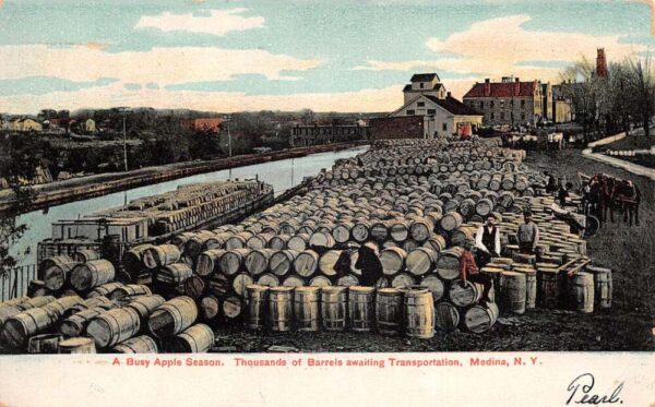 Medina New York Apple Barrels Awaiting Transportation Vintage Postcard AA95019