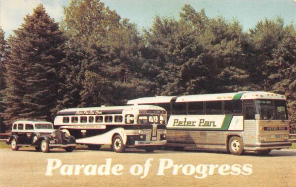 Springfield Massachusetts Peter Pan Bus Tours Vintage Postcard AA95039