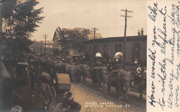 White River Junction New York Circus Parade Elephants Real Photo PC AA95245