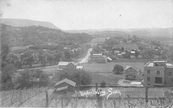 Naples Valley New York South Birds Eye View Real Photo Vintage Postcard AA95296