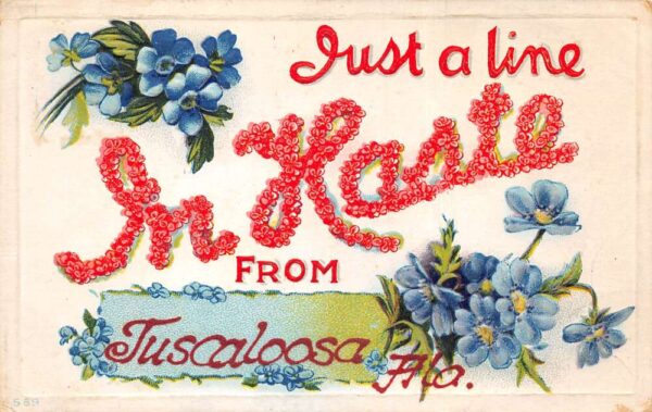 Tuscaloosa Florida Greetings Blue Flowers Vintage Postcard AA95326