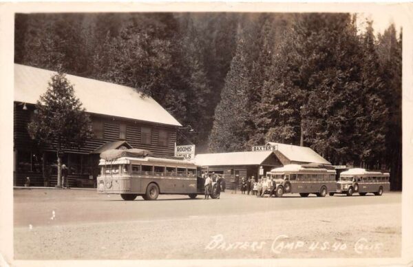 Baxters Camp California Pacific Greyhound Buses Real Photo Postcard AA95331