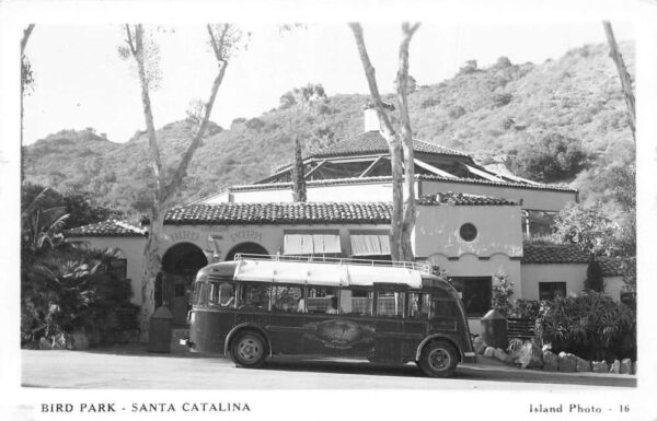 Santa Catalina Island California Bird Park Bus at Entrance Real Photo PC AA95345