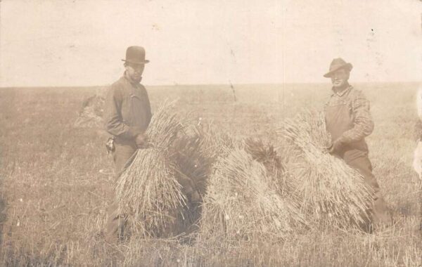 Bowbells North Dakota Farmers Bundling Straw Real Photo Vintage Postcard AA95350