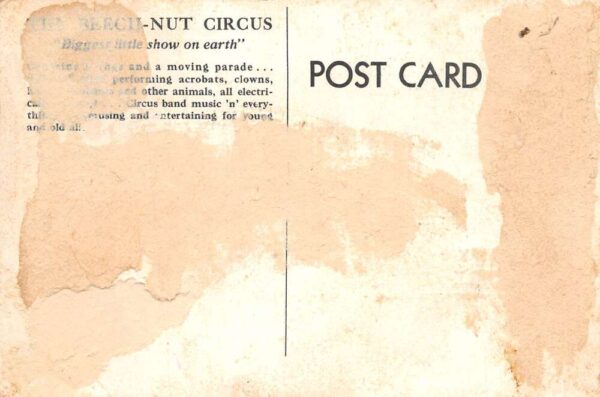 Beech Nut Circus Gum Ad Bus Vintage Postcard AA95392 - Image 2