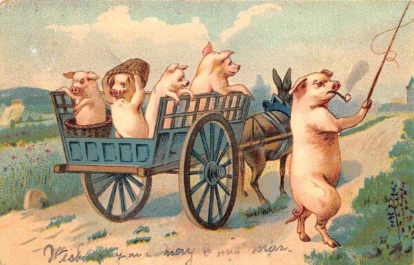 Pigs Riding in Donkey Cart Animals Greetings Vintage Postcard AA95422