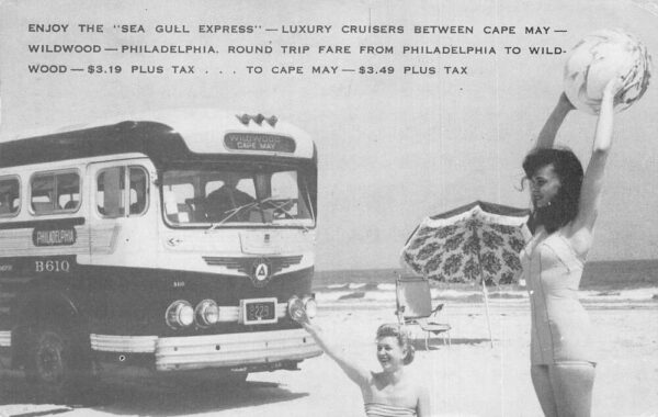 Cape May New Jersey Sea Gull Express Bus Beach Scene Vintage Postcard AA95425