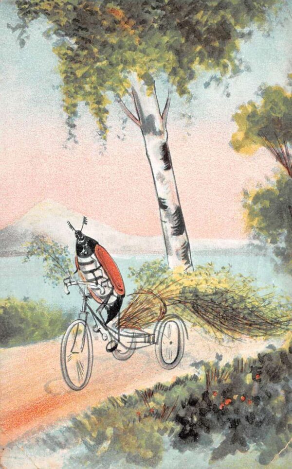 Bug Beetle Insect Riding Tricycle Bicycle Vintage Postcard AA96702