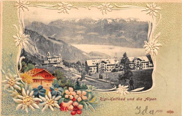 Weggis Switzerlnd Rigi Kaltbad Birds Eye View Floral Border Postcard AA96722