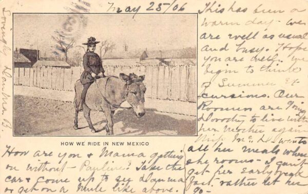 New Mexico Lady Riding Donkey Private Mail Vintage Postcard AA96750