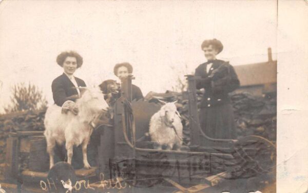 Flint Michigan Women with Goats Farm Scene Real Photo Postcard AA96769