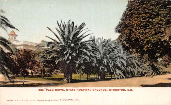 Stockton California State Hospital Grounds Palm Drive Vintage Postcard AA96807