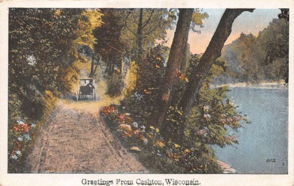 Cashton Wisconsin Greetings Horse Carriage on Scenic Road Postcard AA96882