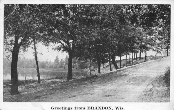 Brandon Wisconsin Greetings Road Scenic View Vintage Postcard AA96892