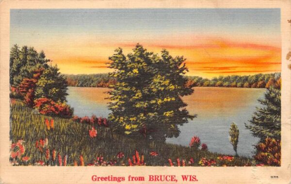 Bruce Wisconsin Greetings Scenic View Vintage Postcard AA96896