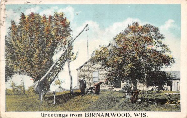 Birnamwood Wisconsin Greetings Man by Well Vintage Postcard AA96897