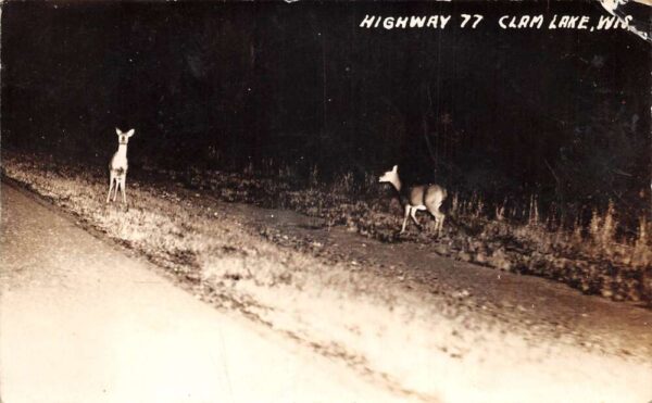 Clam Lake Wisconsin Deer on Highway 77 at Night Real Photo Postcard AA96935