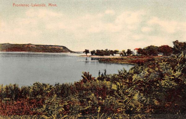 Frontenac Minnesota Lakeside Scenic View Vintage Postcard AA96958