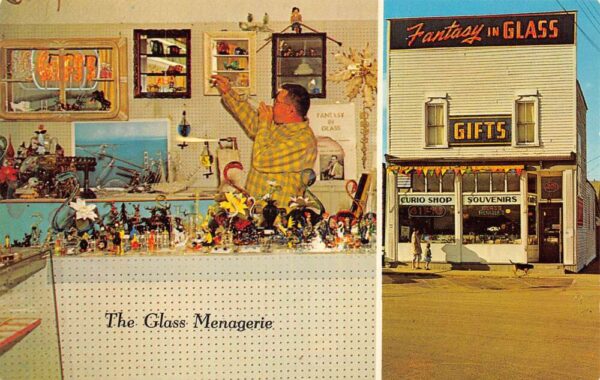 Mackinaw City Michigan The Glass Menagerie Gift Shop Curio Postcard AA96979