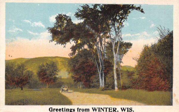 Winter Wisconsin Greetings Road Scenic View Vintage Postcard AA96987