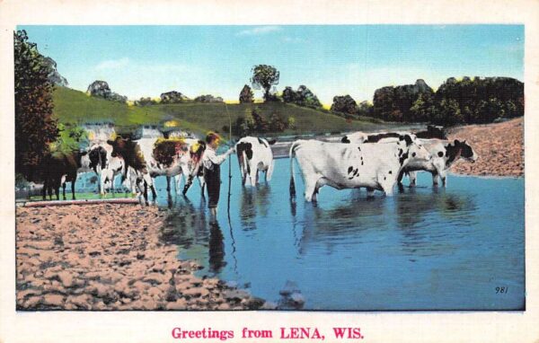 Lena Wisconsin Greetings Boy with Cows in River Vintage Postcard AA96993