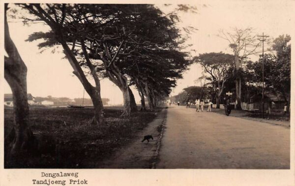 Tandjoeng Priok Indonesia Dongalaweg Street Scene Real Photo Postcard AA97051