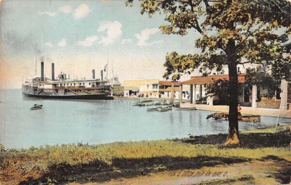 Put in Bay Ohio Fox's Dock Steamer Ship Vintage Postcard AA97055