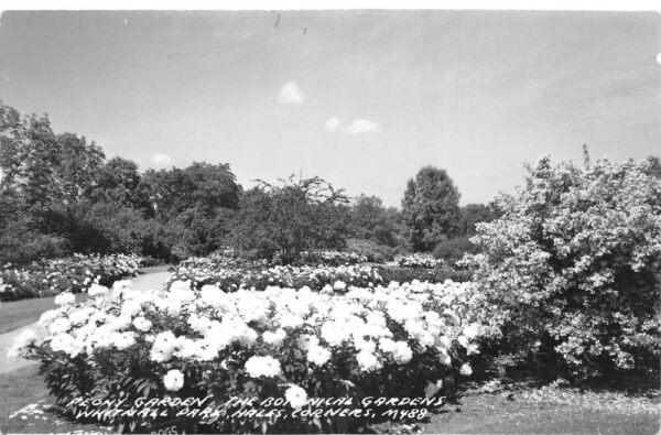 Hales Corners Wisconsin Botanical Gardens Peony Gardens Real Photo PC AA97110