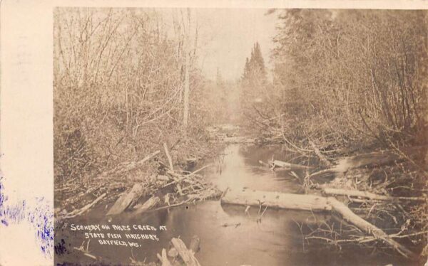 Bayfield Wisconsin State Fish Hatchery Pikes Creek Real Photo Postcard AA97128