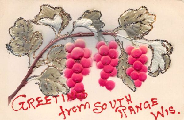 South Range Wisconsin Greetings Grapes Airbrushed Embosssed Glitter PC AA97178