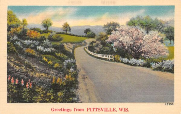 Pittsville Wisconsin Greetings Road Scenic View Vintage Postcard AA97184