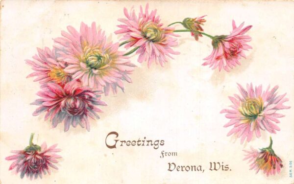 Verona Wisconsin Greetings Flowers Vintage Postcard AA97194