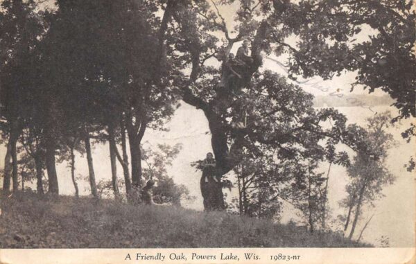 Powers Lake Wisconsin Friendly Oak Scenic View Vintage Postcard AA97237