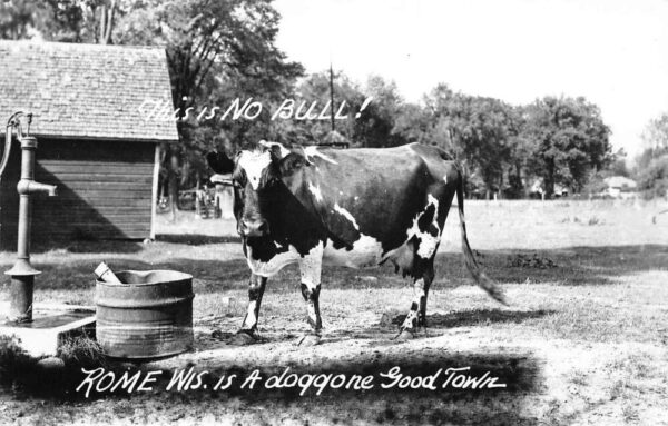 Rome Wisconsin Greetings Cow Humor Real Photo Postcard AA97241