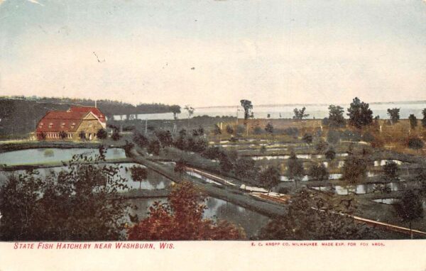 Washburn Wisconsin State Fish Hatchery Birds Eye View Vintage Postcard AA97261