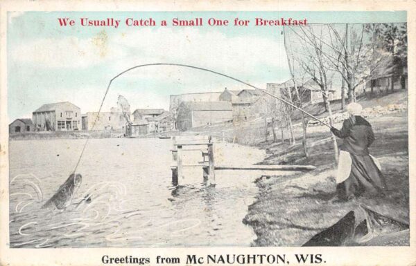 McNaughton Wisconsin Greetings Fishing Exaggeration Vintage Postcard AA97265