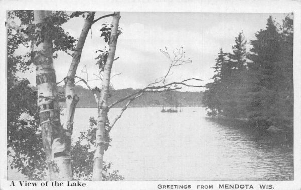 Mendota Wisconsin Greetings Lake Scenic View Vintage Postcard AA97267