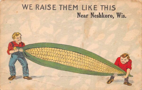 Neshkoro Wisconsin Greetings Corn Exaggeration Farming Postcard AA97269