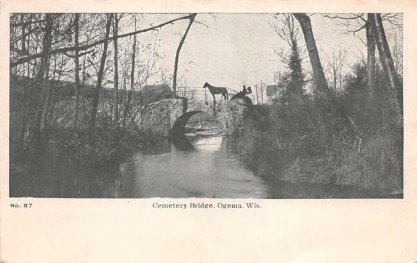 Ogema Wisconsin Cemetery Bridge Horse Carriage Vintage Postcard AA97313