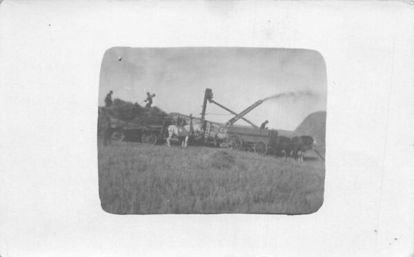 North Dakota Farming Scene Steam Thresher Real Photo Vintage Postcard AA97712