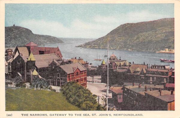 St Johns Newfoundland Canada The Narrows Birds Eye View Vintage Postcard AA97722