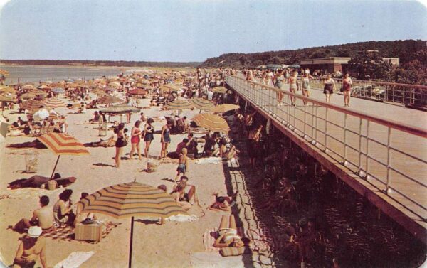 Sunken Meadow State Park New York Boardwalk and Bathing Beach Postcard AA97723