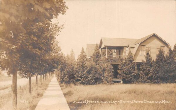 Onekama Michigan Lake Shore Drive Cottages Real Photo Postcard AA97737