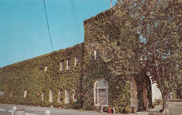 Napa Valley California Beaulieu Vineyard Vintage Postcard AA97867