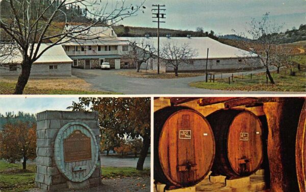 Plymouth California D'Agostini Winery Vintage Postcard AA97873