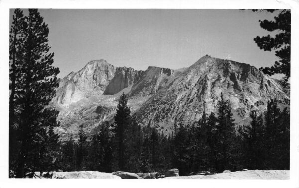 Yosemite Park California Mt Conness Scenic View Real Photo Postcard AA98053