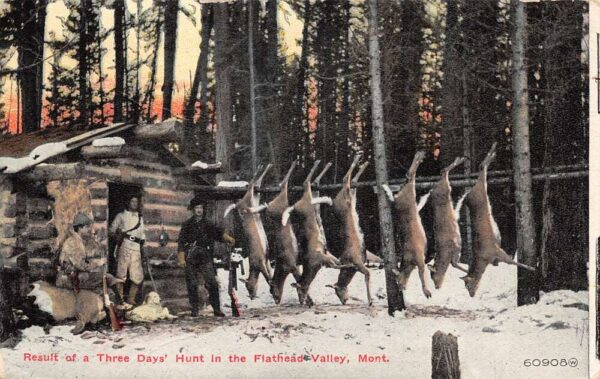 Flathead Valley Montana Deer Hunters Vintage Postcard AA98178