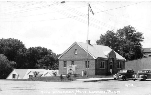 New London Minnesota Fish Hatchery Real Photo Vintage Postcard AA98312